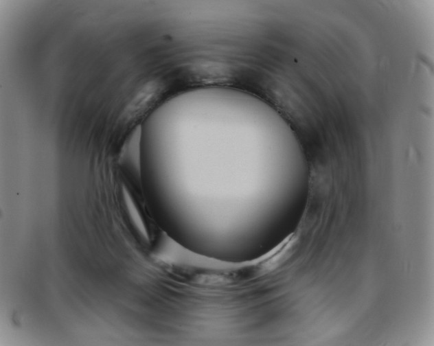 X0000097780170200803141815