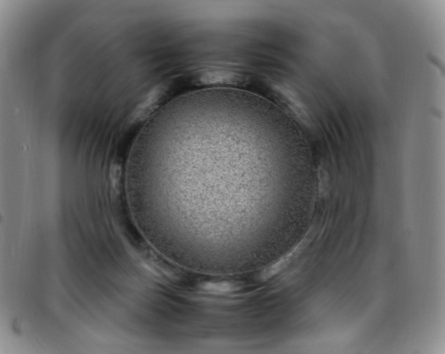 X0000097780171200803141815