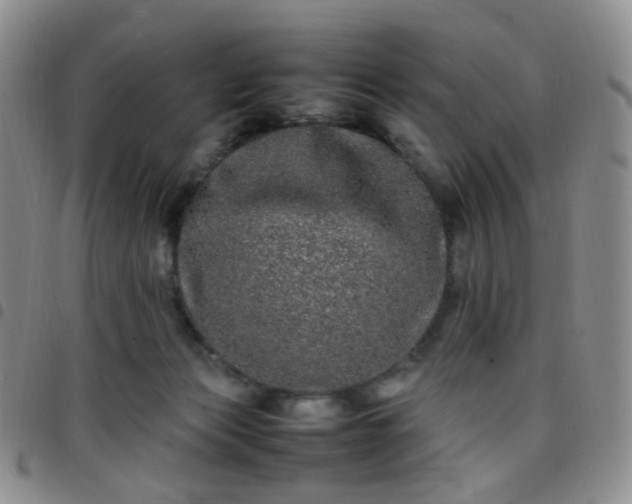 X0000097780173200803141815