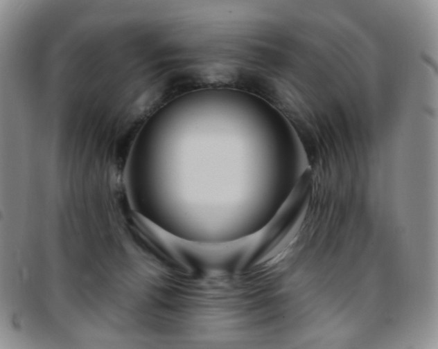 X0000097780176200803141815