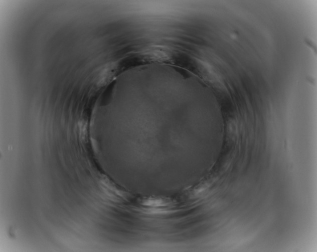 X0000097780177200803141815