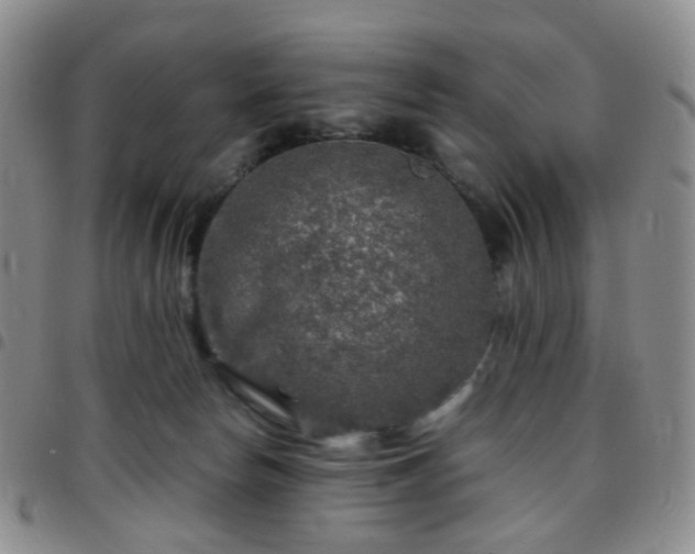 X0000097780178200803141815