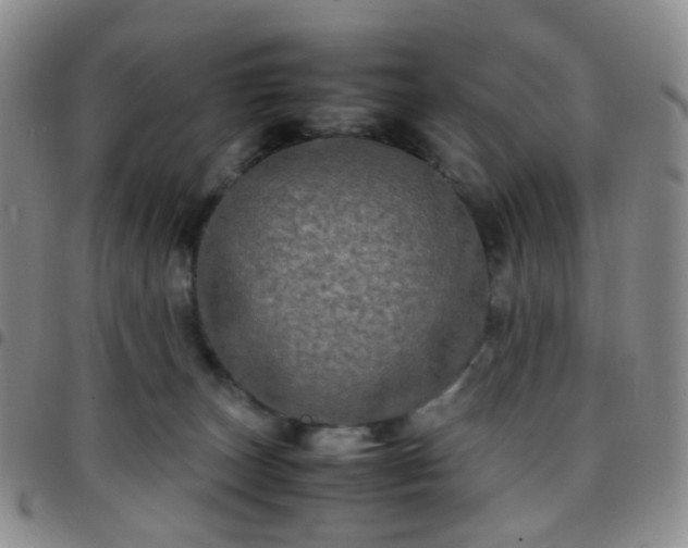 X0000097780179200803141815