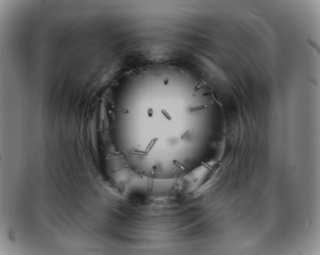 X0000097780180200803141815