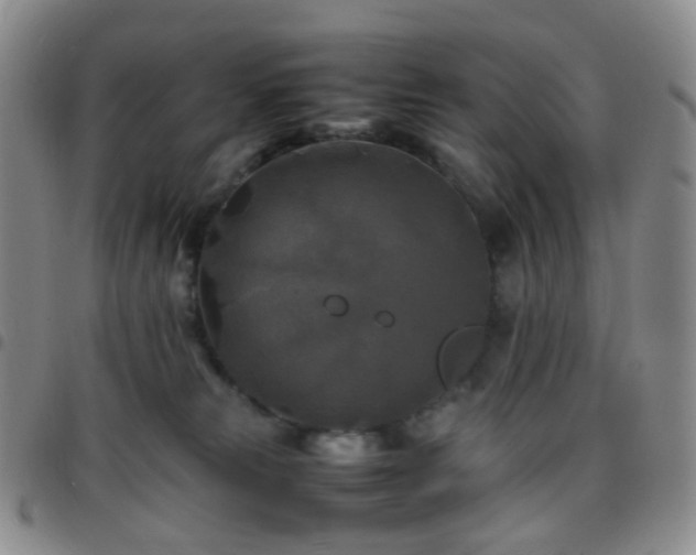 X0000097780181200803141815