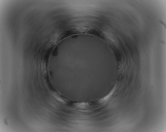 X0000097780182200803141815