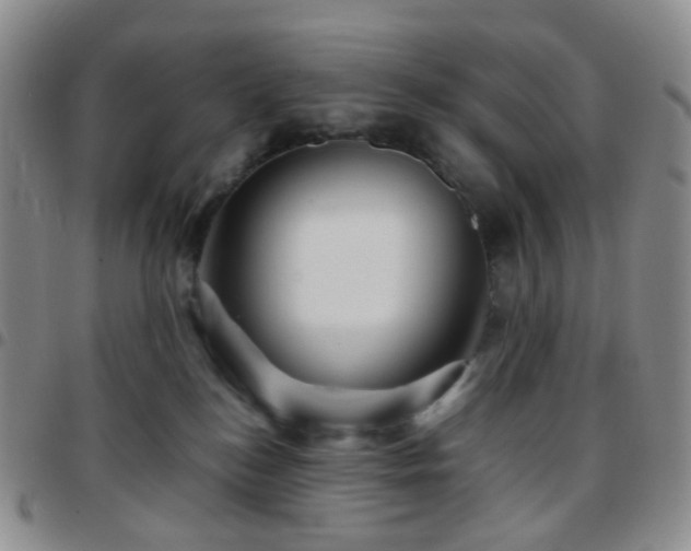 X0000097780184200803141815