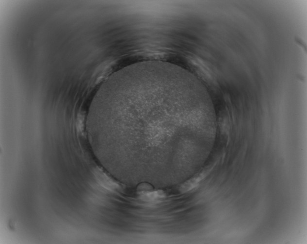 X0000097780185200803141815