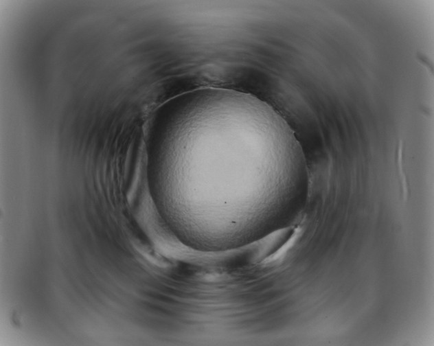 X0000097780186200803141815