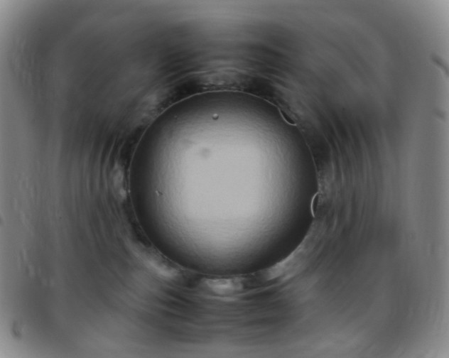 X0000097780187200803141815