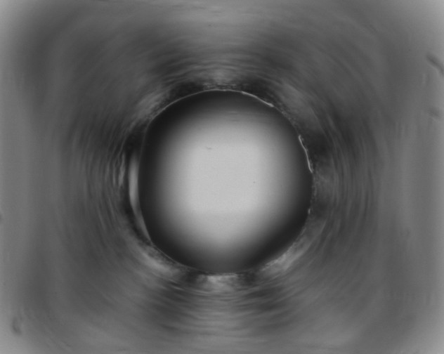 X0000097780188200803141815