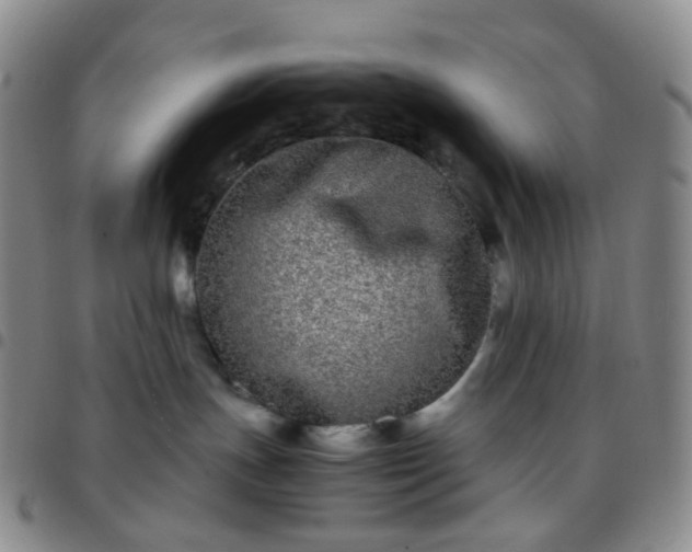 X0000097780191200803141816