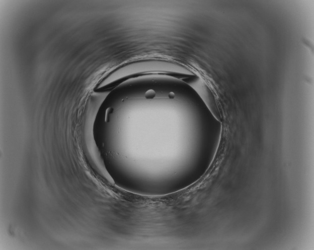 X0000097780193200803141815