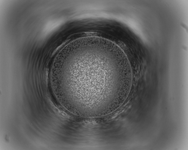 X0000097780194200803141815