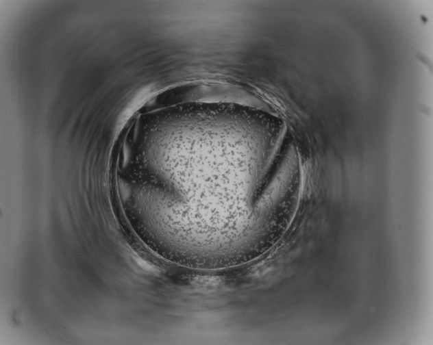 X0000097780195200803141815