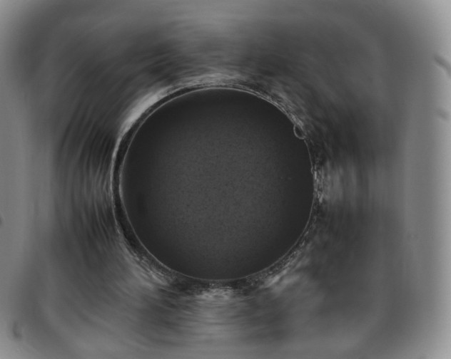 X0000097780196200803141815