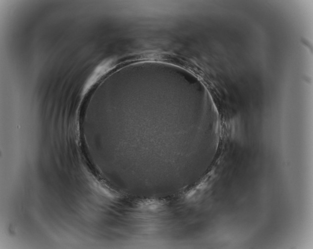 X0000097780198200803141815