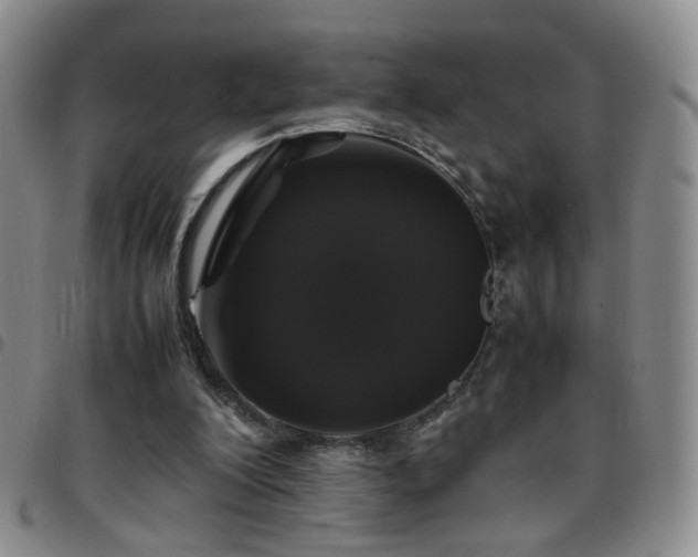 X0000097780200200803141815