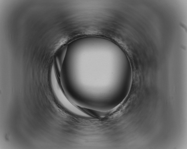 X0000097780201200803141815