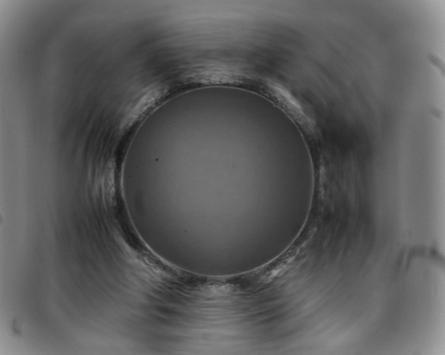 X0000097780202200803141815