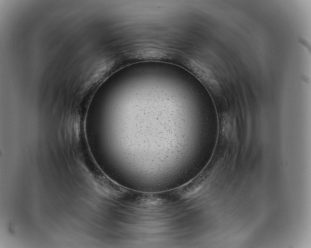 X0000097780206200803141815