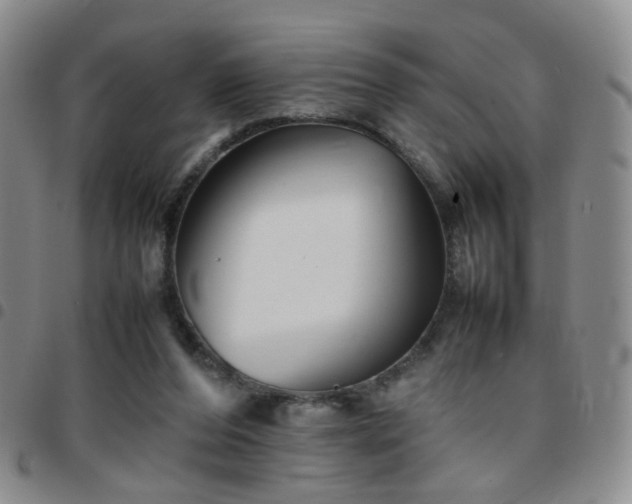 X0000097780208200803141815