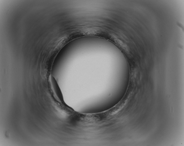 X0000097780209200803141815