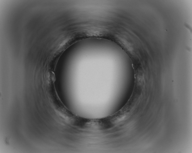 X0000097780211200803141815