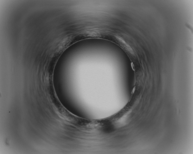 X0000097780213200803141815