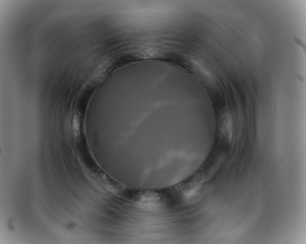 X0000097780214200803141815