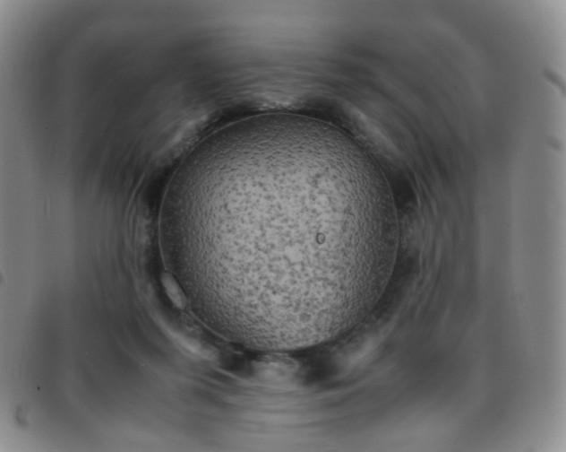 X0000097780215200803141815