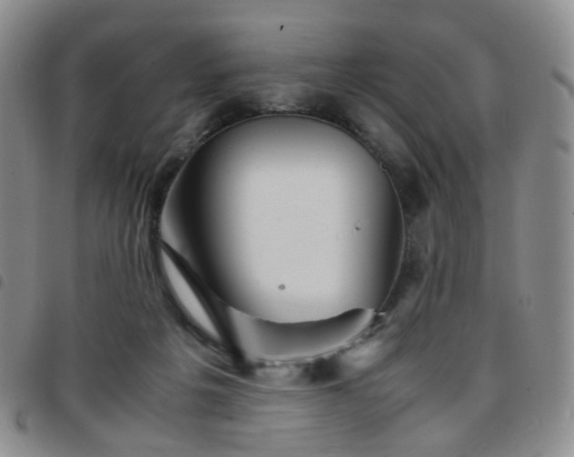 X0000097780217200803141815