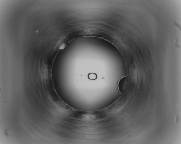 X0000097780220200803141815