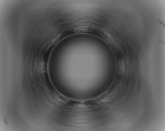 X0000097780224200803141814