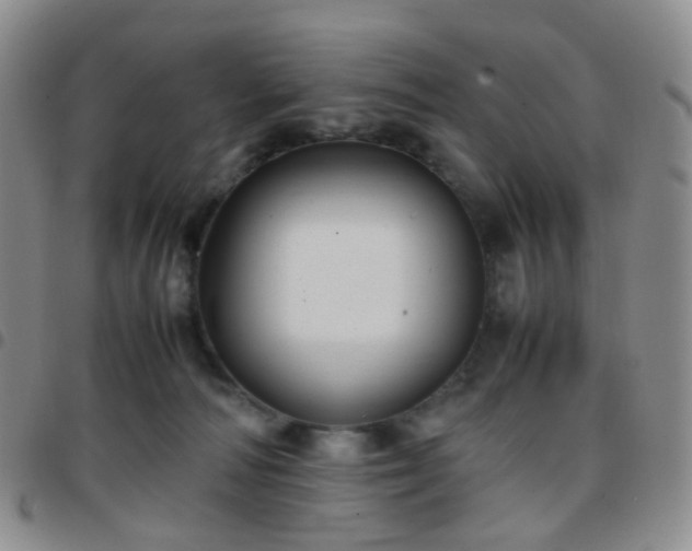 X0000097780226200803141814