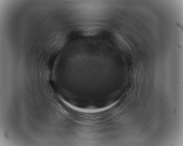 X0000097780227200803141814