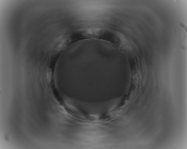 X0000097780231200803141814