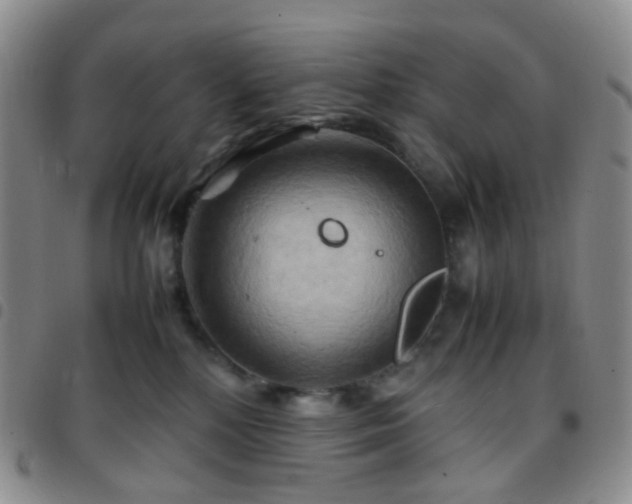 X0000097780232200803141814