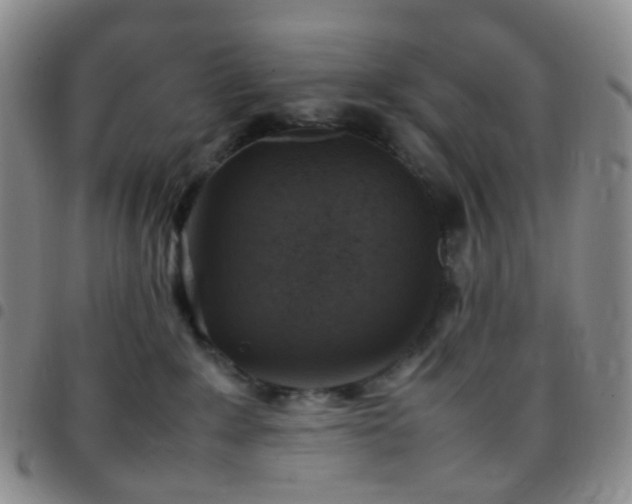 X0000097780235200803141814