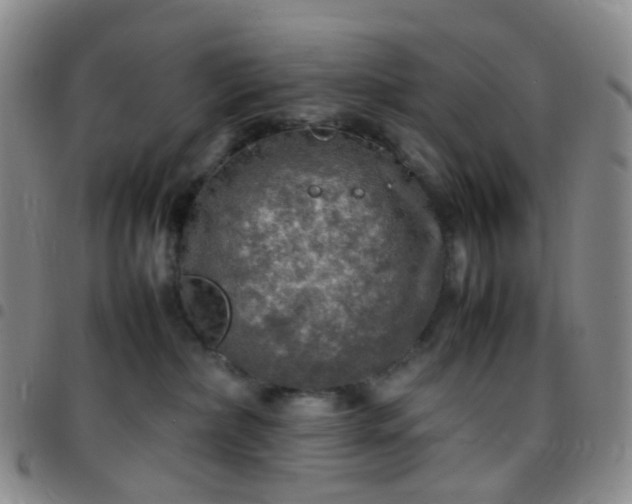 X0000097780236200803141814