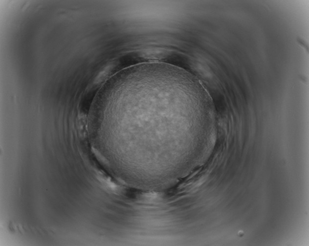 X0000097780237200803141814