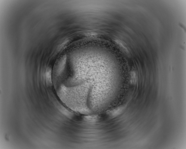 X0000097780238200803141814