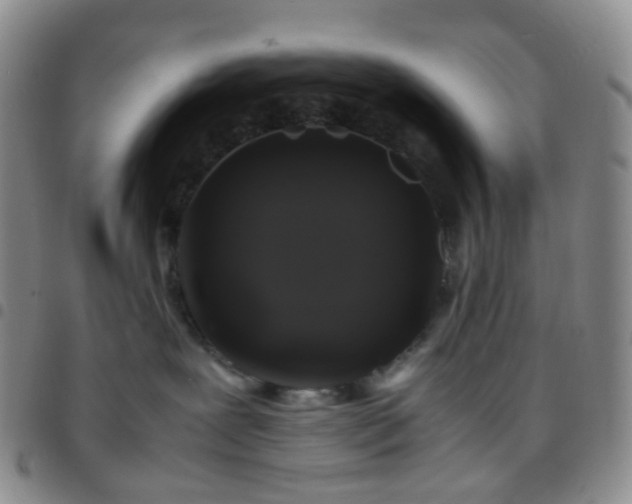 X0000097780239200803141814