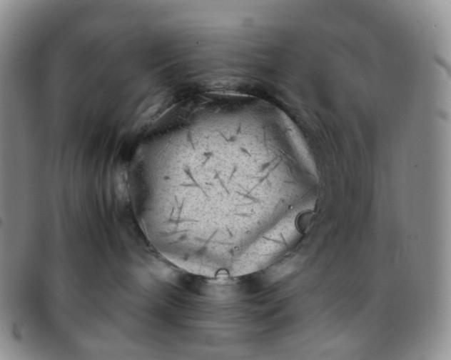 X0000097780240200803141814