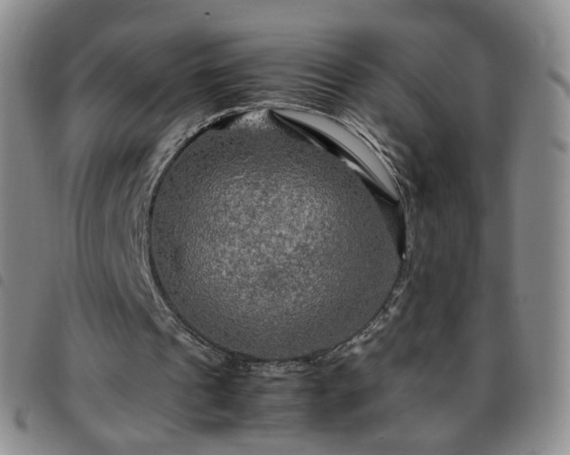 X0000097780241200803141814