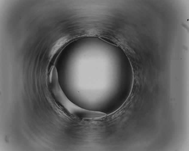 X0000097780242200803141814