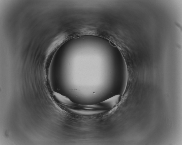 X0000097780245200803141814