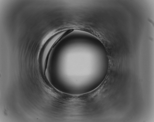 X0000097780246200803141814