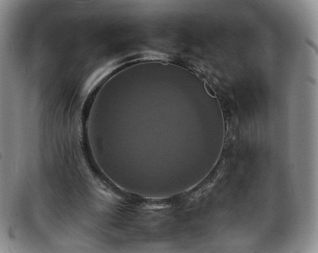 X0000097780247200803141814