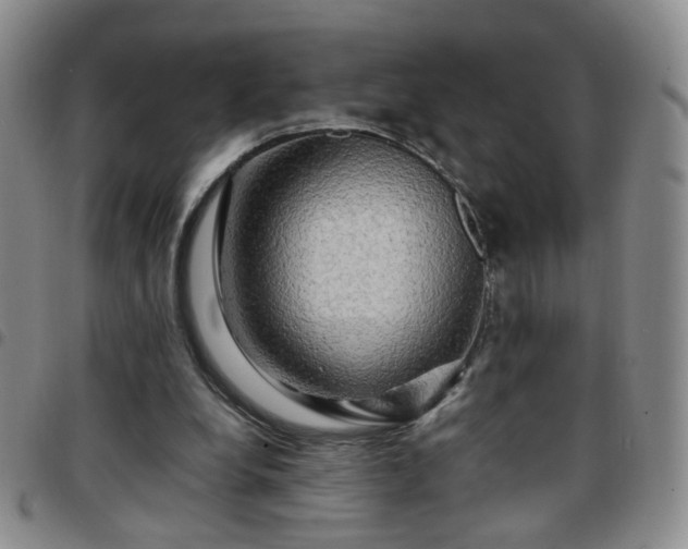 X0000097780248200803141814